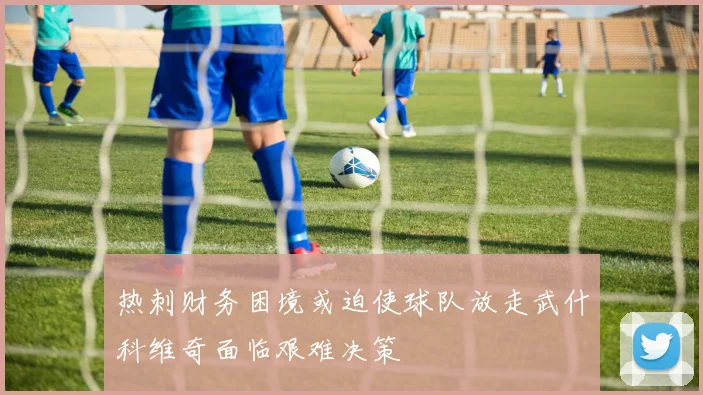 热刺财务困境或迫使球队放走武什科维奇面临艰难决策